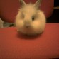wendy!